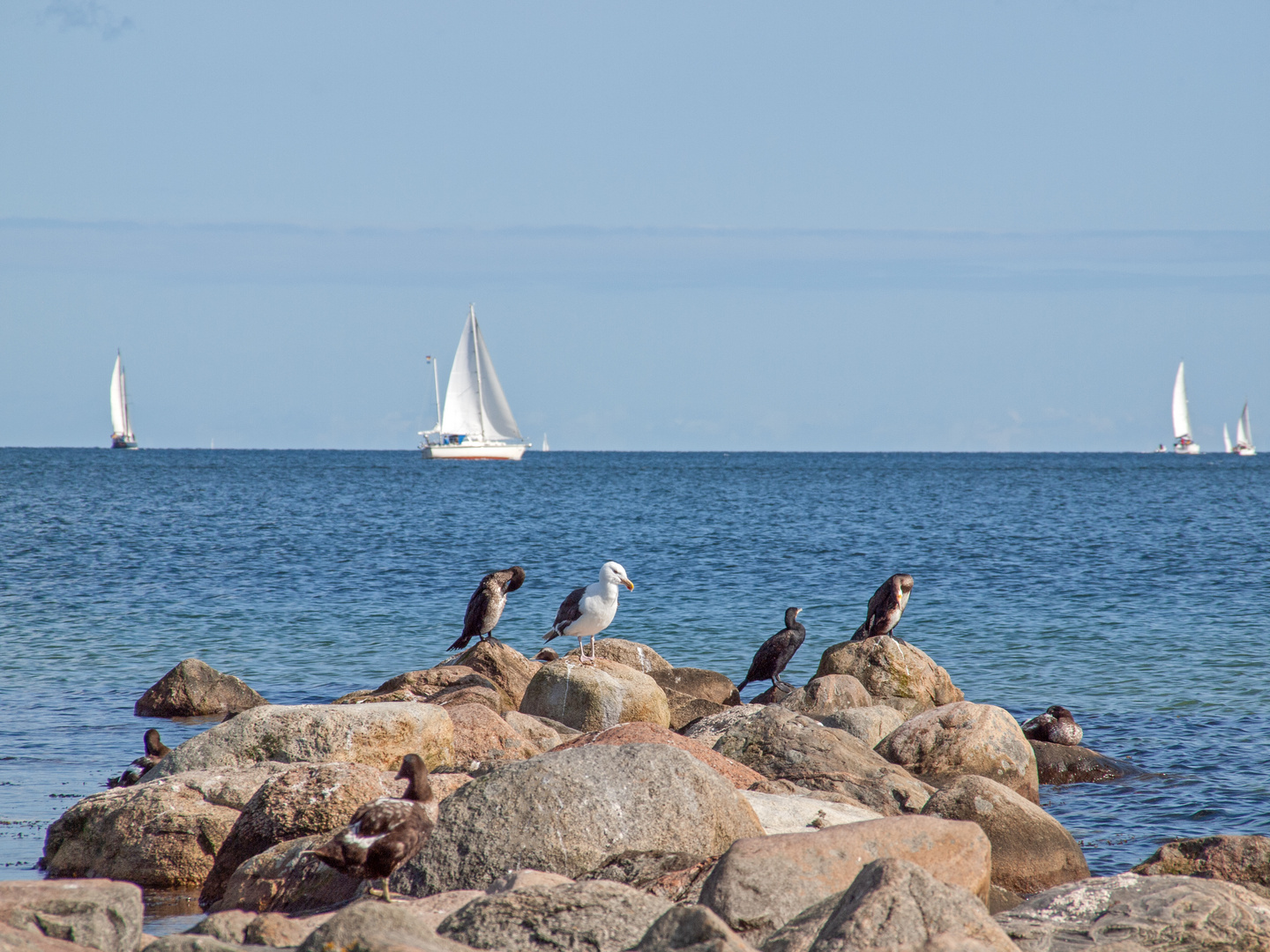 Eckernförde