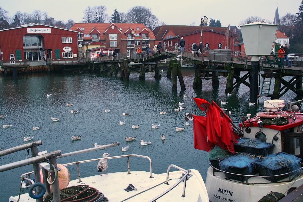 Eckernförde, Hafen