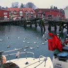 Eckernförde, Hafen