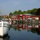 Eckernförder Hafen am Morgen