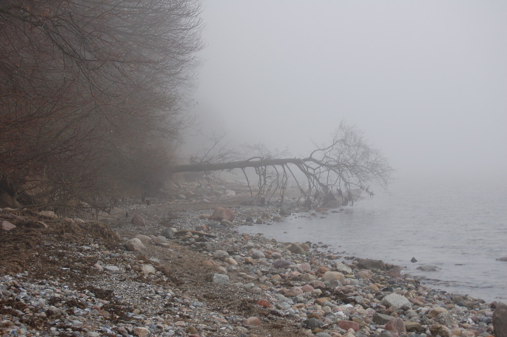 Eckernförderbucht