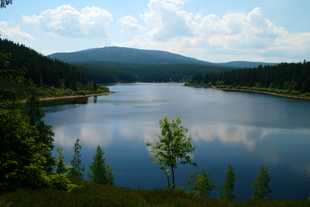 Eckerstausee, Harz