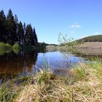 Eckertalsperre im Harz