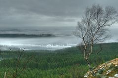 Eckertalsperre im Nebel