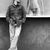 Eckhardt Witting