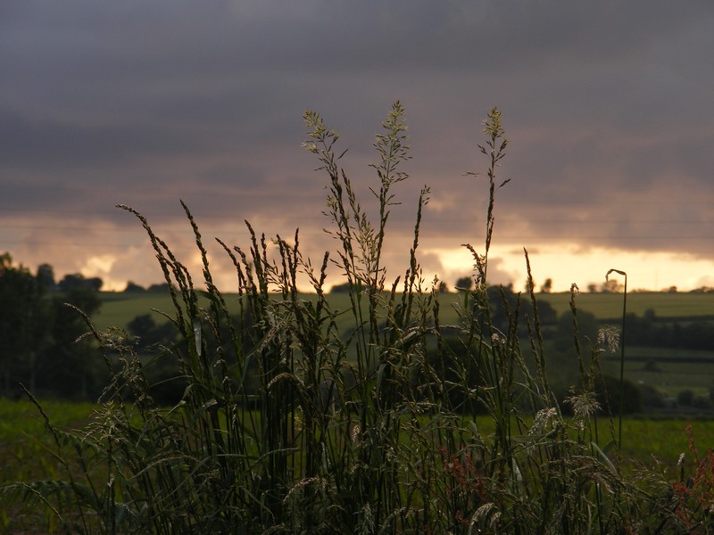 Eclat du soir