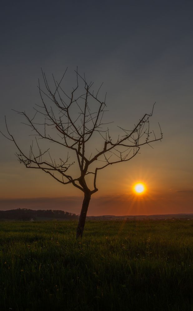 Eclipse - Biss zum Abendrot