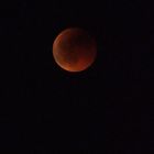 Eclipse totale de lune