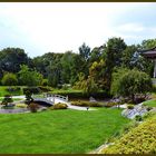 ECO-Haus Düsseldorf - Garten