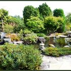 ECO-Haus Düsseldorf - Gartenblick durch das Fenster