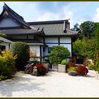 ECO-Haus Düsseldorf - Gebäude im Garten