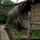 Ecohotel in Donaudelta