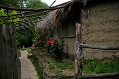 Ecohotel in Donaudelta