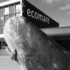 ecomare