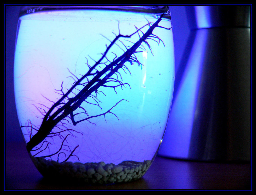 EcoSphere