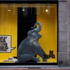 Vitrine