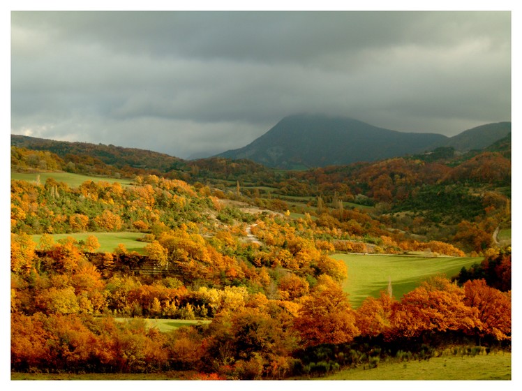 Ecrin de couleurs dans la Drôme provençale