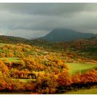 Ecrin de couleurs dans la Drôme provençale