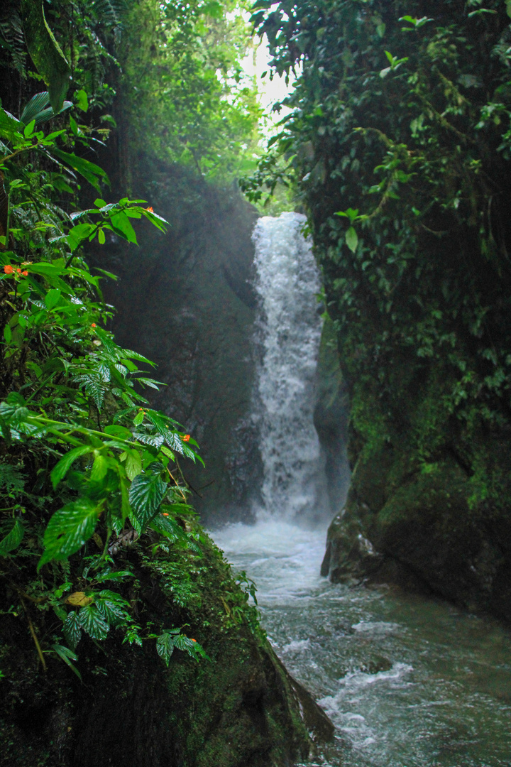 Ecuador (4)