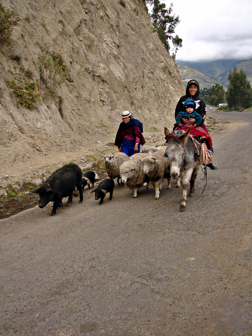 Ecuador "Familienausflug"