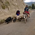 Ecuador "Familienausflug"