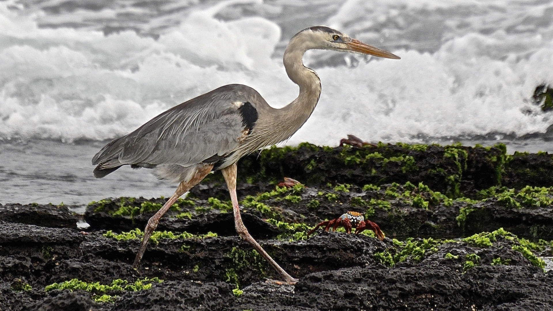 Ecuador - Galapagos