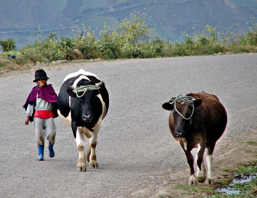 Ecuador, Kinder in den Anden 