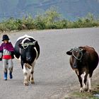 Ecuador, Kinder in den Anden 