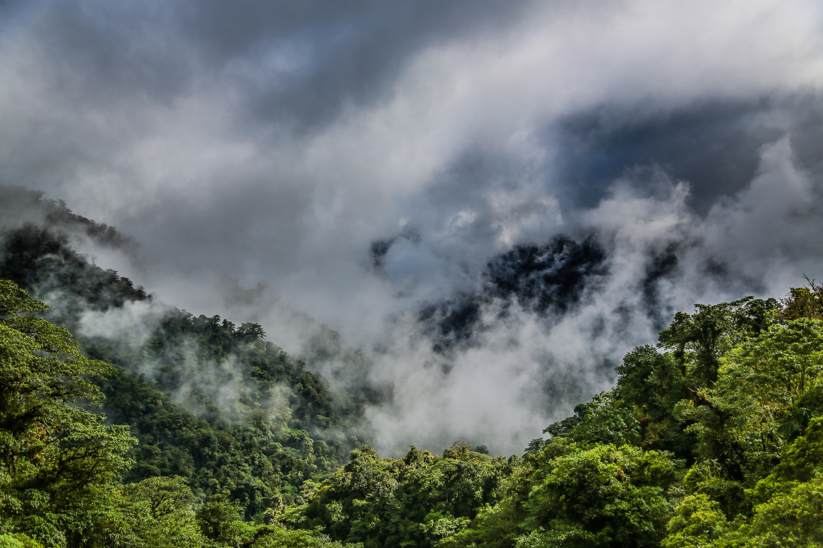 Ecuador near Quito - the foggy mountains...