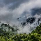 Ecuador near Quito - the foggy mountains...