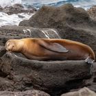 Ecuador_Galapagos