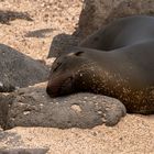 Ecuador_Galapagos