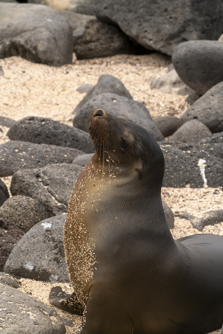 Ecuador_Galapagos