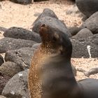 Ecuador_Galapagos
