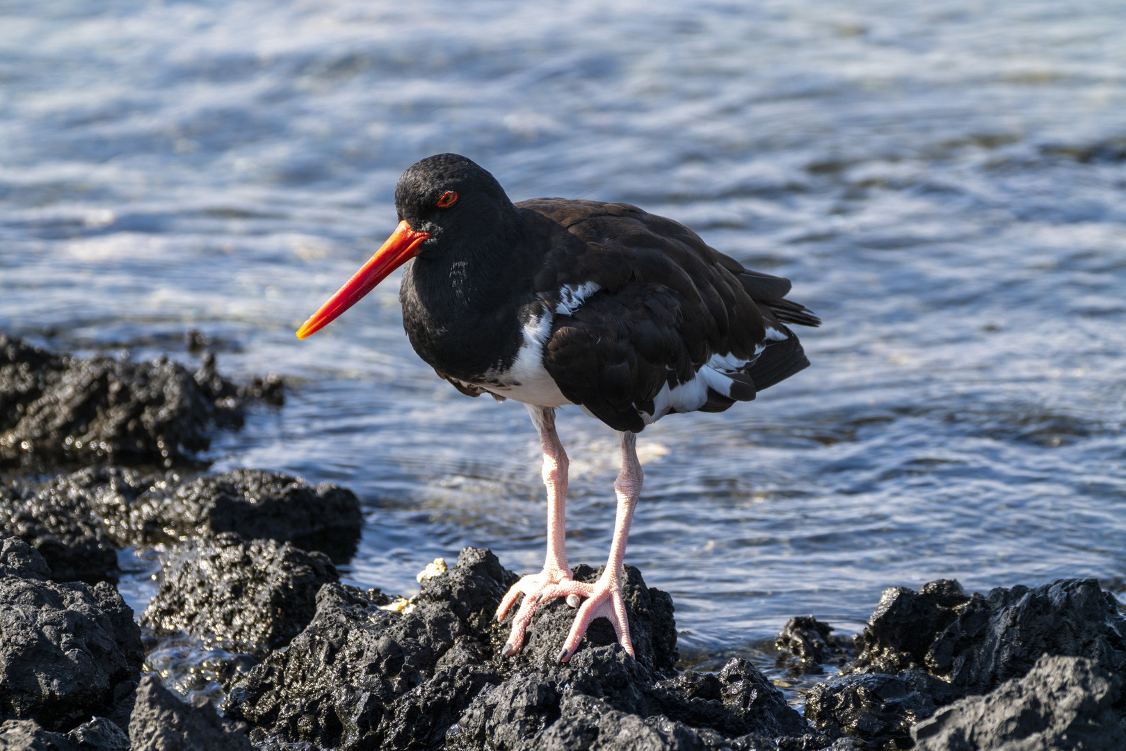 Ecuador_Galapagos