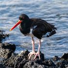 Ecuador_Galapagos