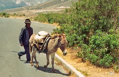 Ecuadorianer