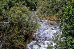 Ecuadors Natur