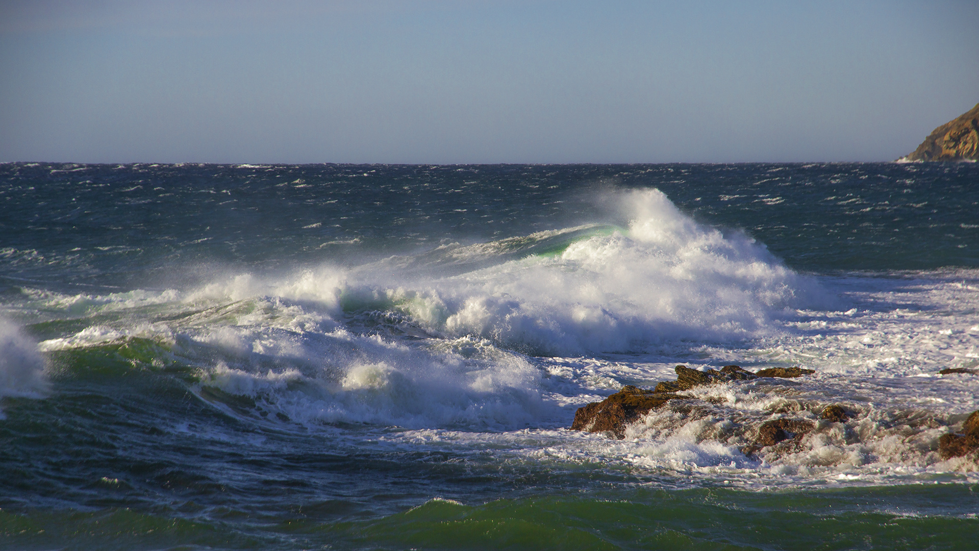 écumante en vert (1)