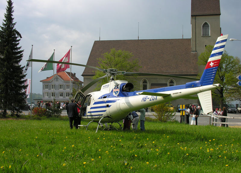 Ecureuil mitten im Dorfzentrum