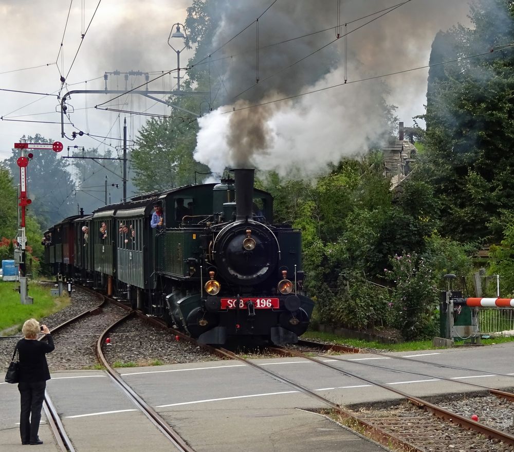 Ed 2x2/2 196 Mallet mit Volldampf durch Bäretswil