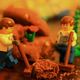 Lego Makro Projekt 2013 wiederentdeckt 3