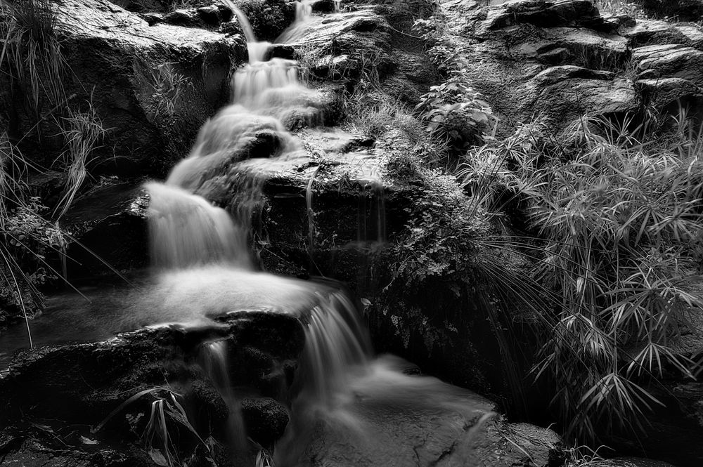 kleiner Wasserfal bei El Guro, La Gomera von Michael Schlitter 