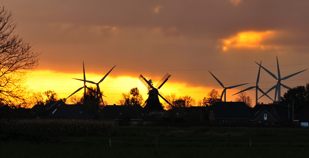 Eddelaks alte windmühle "Gott mit uns" im Oktoberabendlicht