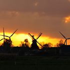 Eddelaks alte windmühle "Gott mit uns" im Oktoberabendlicht