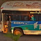 eddy's bus