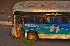 eddy's bus