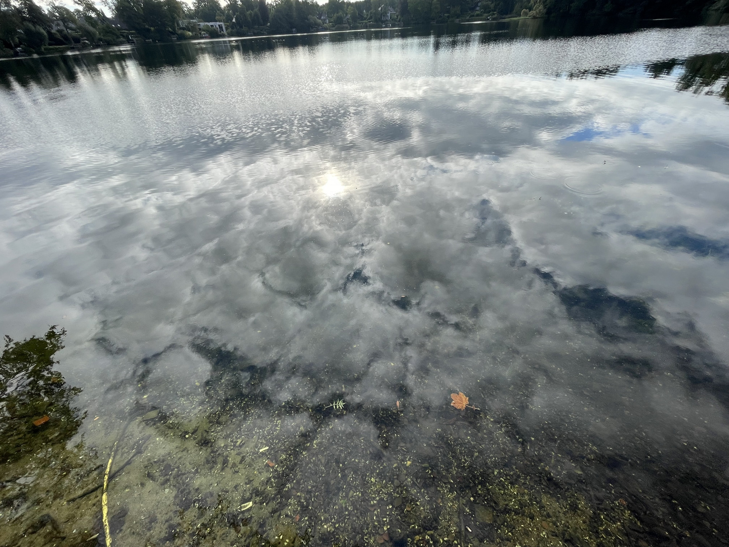 Edebergsee Plön