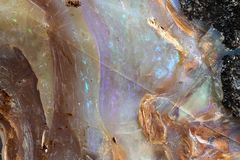 Edel-Opal aus Queensland, Australien