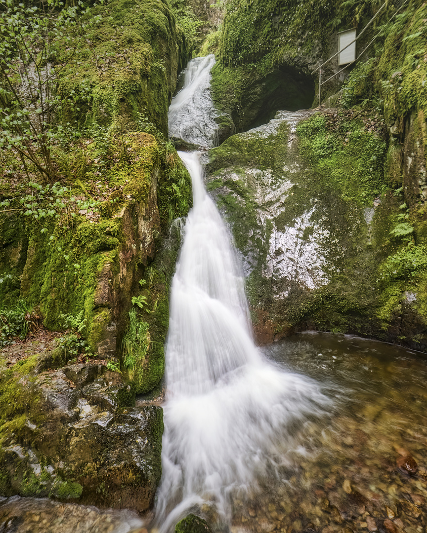 Edelfrauengrab-Wasserfall | Nord-Schwarzwald